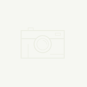 世界杯前瞻E組：傳控足球成主旋律 德西雙龍戲珠