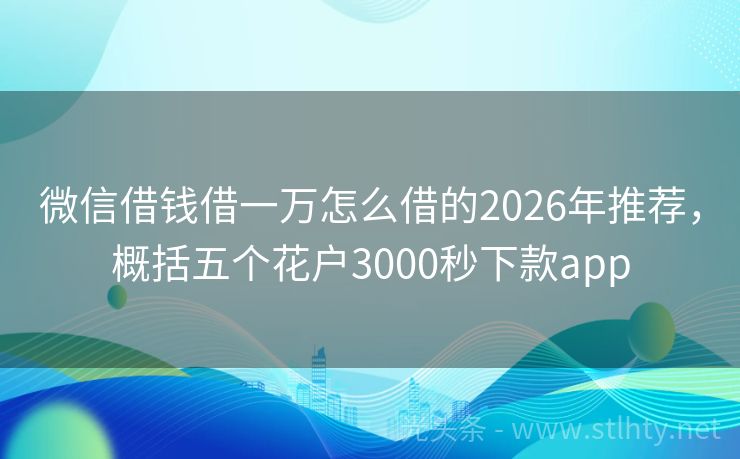微信借錢借一萬怎么借的2026年推薦，概括五個花戶3000秒下款app