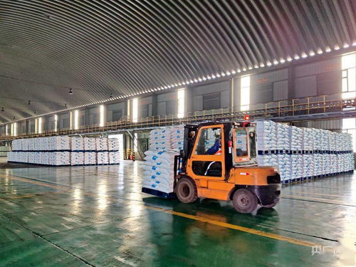 中越公鐵聯(lián)運(yùn)國際貨運(yùn)專列在西寧首發(fā)1200噸pvc出口越南