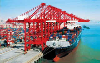 內(nèi)貿(mào)海運(yùn)物流中心 提升國內(nèi)貨物運(yùn)輸代理效率的核心樞紐