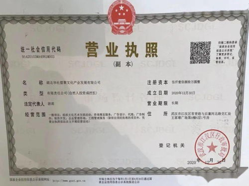 華社集團(tuán)簡(jiǎn)介