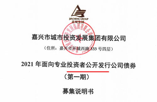 嘉城集團(tuán)擬發(fā)行15億公司債券 存盈利對(duì)政府補(bǔ)助依賴(lài)較高風(fēng)險(xiǎn)